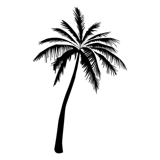 Detail Palm Tree Silhouette Clip Art Nomer 22