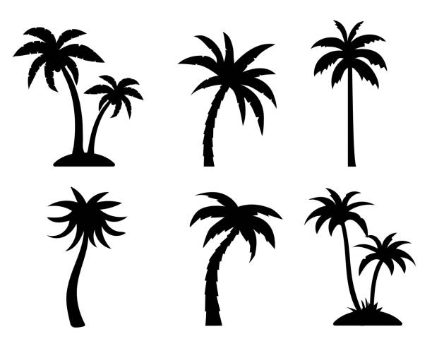 Detail Palm Tree Silhouette Clip Art Nomer 27