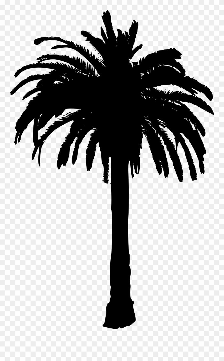 Detail Palm Tree Silhouette Clip Art Nomer 31