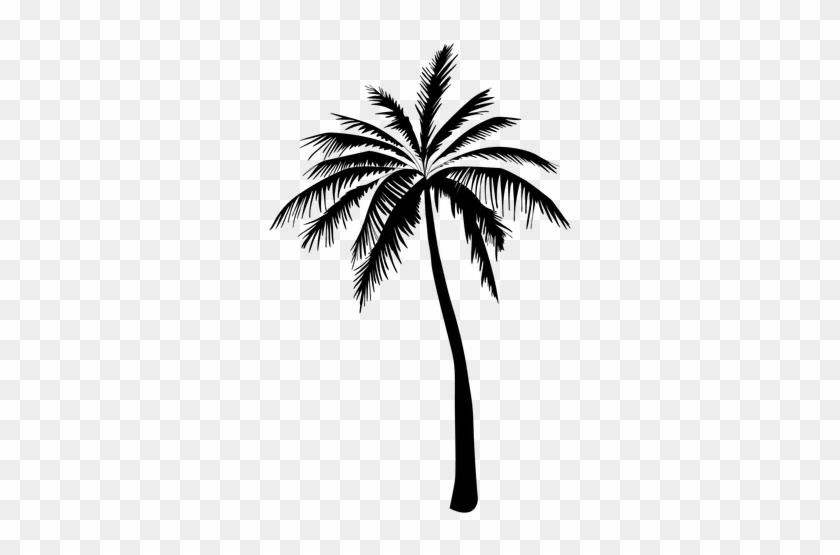 Detail Palm Tree Silhouette Clip Art Nomer 38