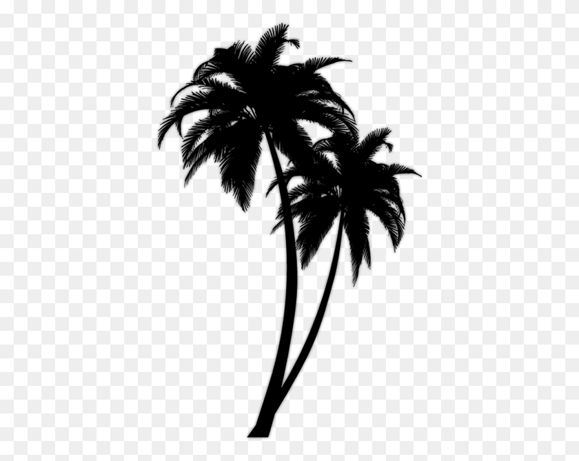 Detail Palm Tree Silhouette Clip Art Nomer 39