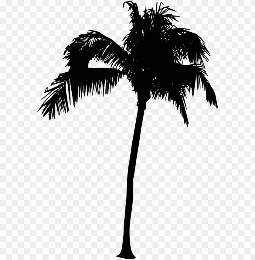 Detail Palm Tree Silhouette Clip Art Nomer 46