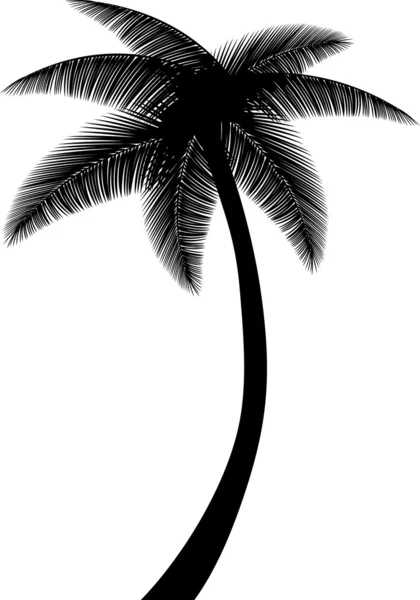 Detail Palm Tree Silhouette Clip Art Nomer 50