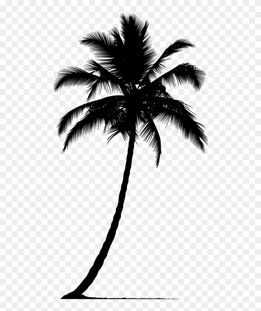 Detail Palm Tree Silhouette Clip Art Nomer 52