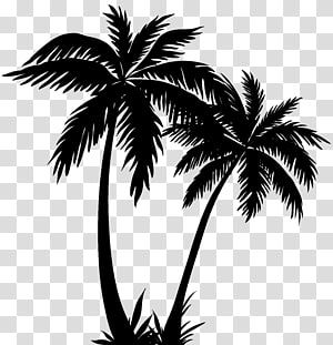 Detail Palm Tree Silhouette Clip Art Nomer 9