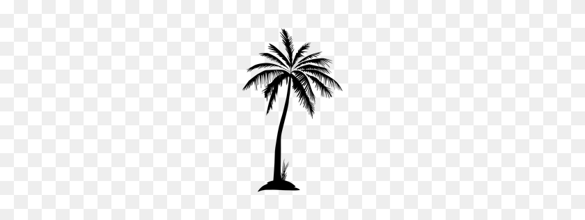 Detail Palm Tree Silhouette Clipart Nomer 35