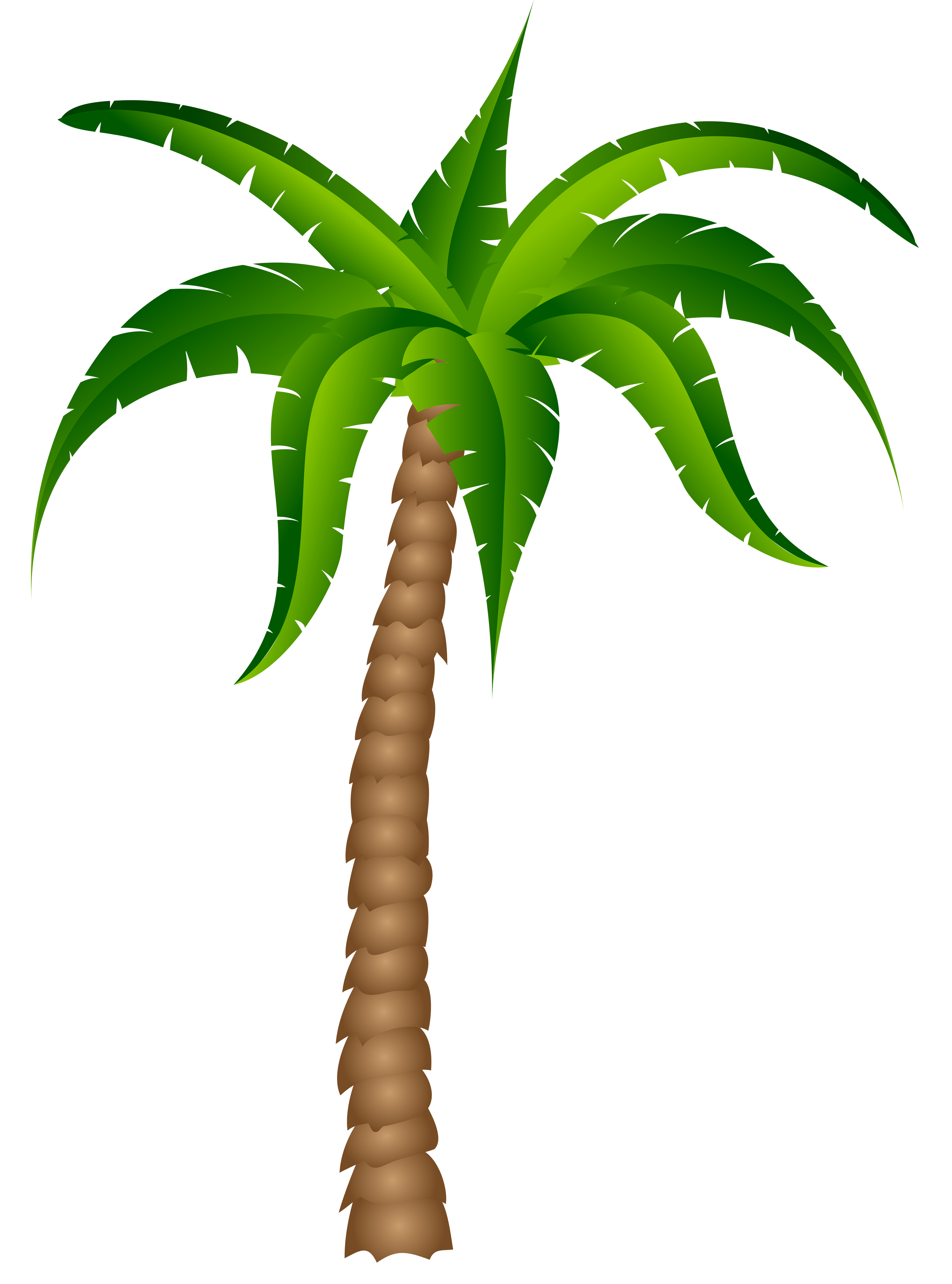 Detail Palm Tree Silhouette Clipart Nomer 50