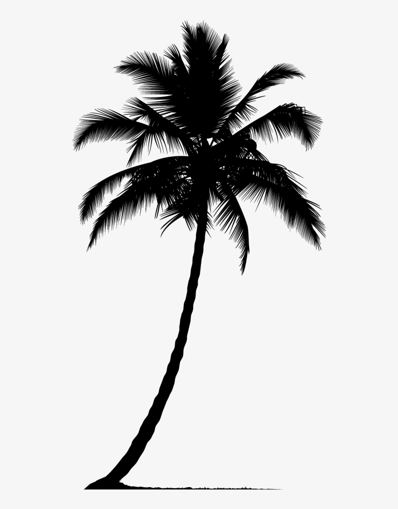 Detail Palm Tree Silhouette Png Nomer 11