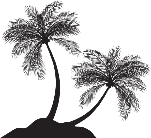 Detail Palm Tree Silhouette Png Nomer 25