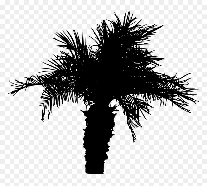 Detail Palm Tree Silhouette Png Nomer 27