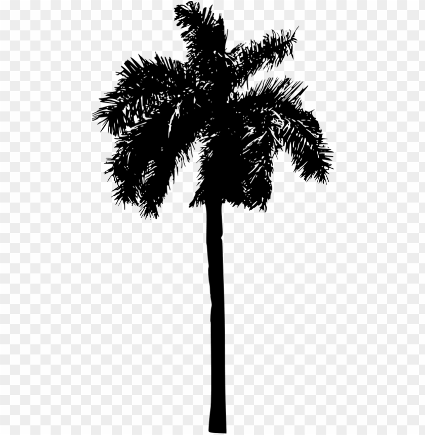 Detail Palm Tree Silhouette Png Nomer 30