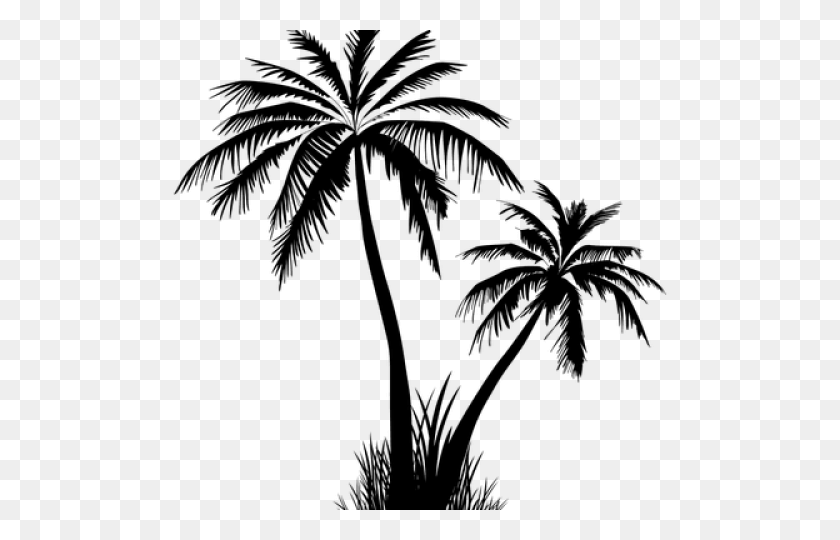 Detail Palm Tree Silhouette Png Nomer 50