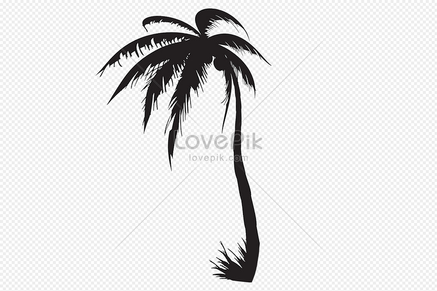 Detail Palm Tree Silhouette Png Nomer 53