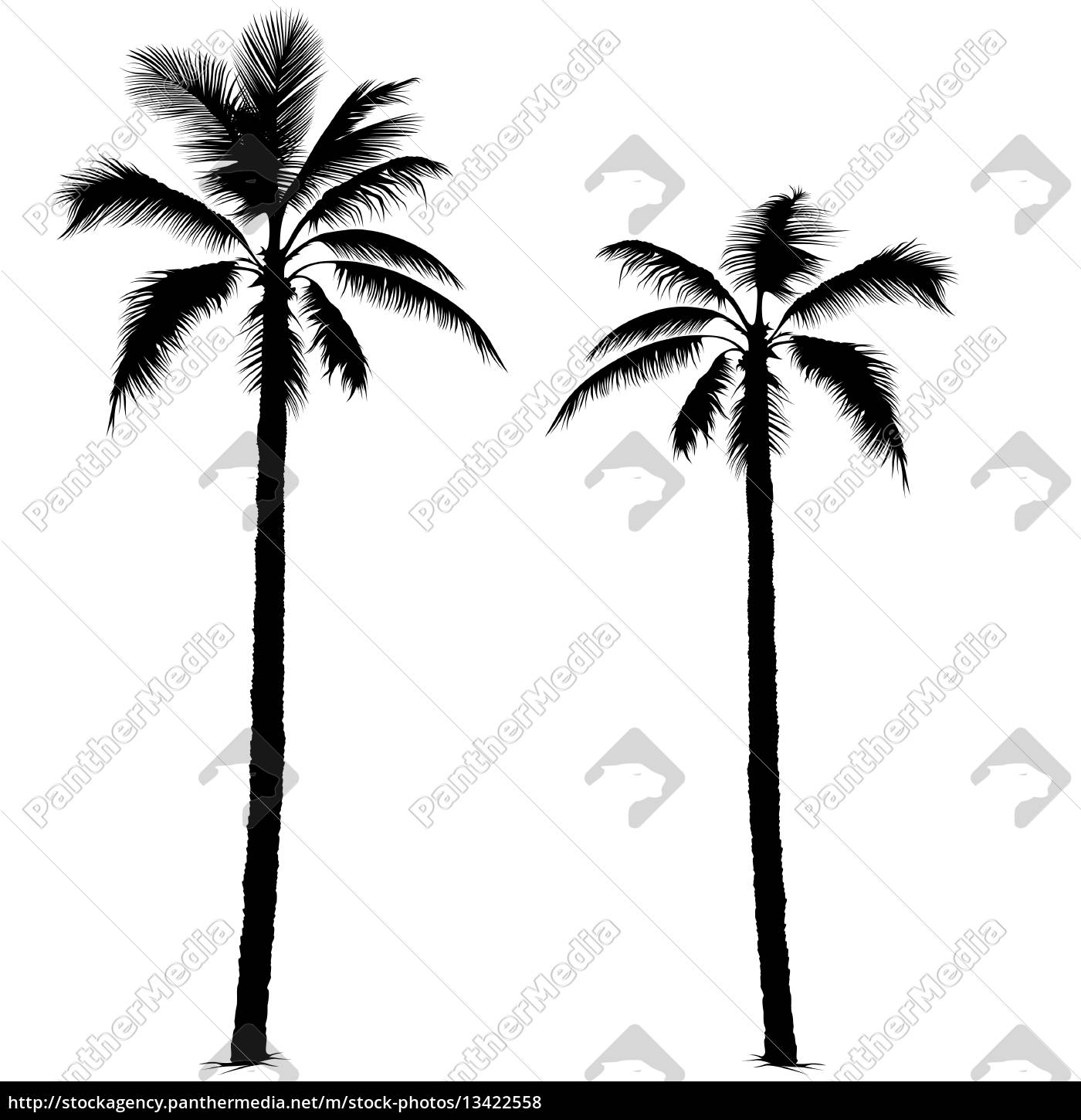 Detail Palm Tree Silhouette Vector Free Nomer 13