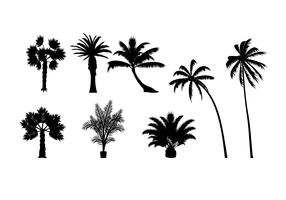 Detail Palm Tree Silhouette Vector Free Nomer 15