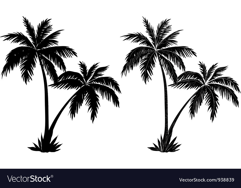 Detail Palm Tree Silhouette Vector Free Nomer 23