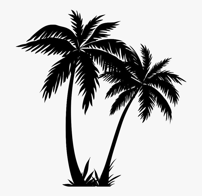 Detail Palm Tree Silhouette Vector Free Nomer 26