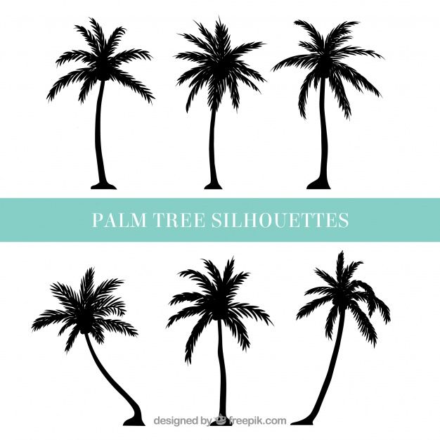 Detail Palm Tree Silhouette Vector Free Nomer 28