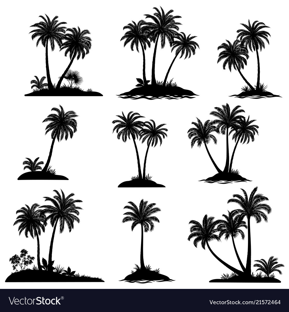 Detail Palm Tree Silhouette Vector Free Nomer 29