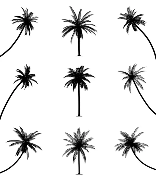 Detail Palm Tree Silhouette Vector Free Nomer 31