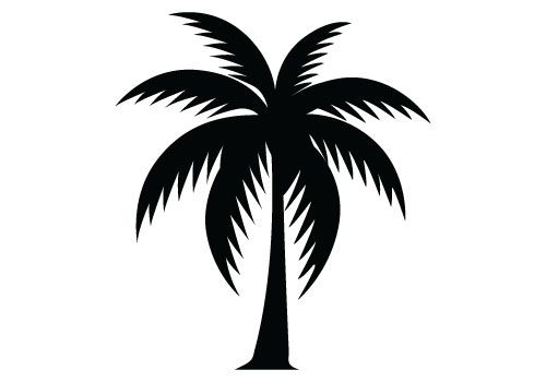Detail Palm Tree Silhouette Vector Free Nomer 35
