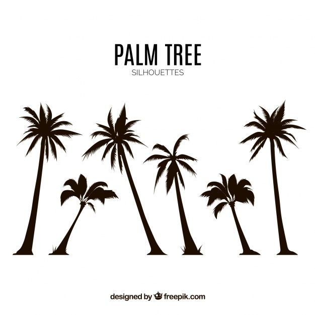 Detail Palm Tree Silhouette Vector Free Nomer 36
