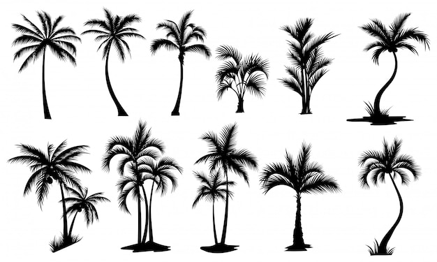 Detail Palm Tree Silhouette Vector Free Nomer 5