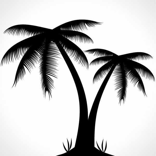 Detail Palm Tree Silhouette Vector Free Nomer 38