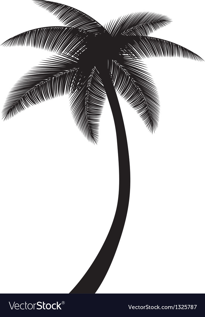 Detail Palm Tree Silhouette Vector Free Nomer 40