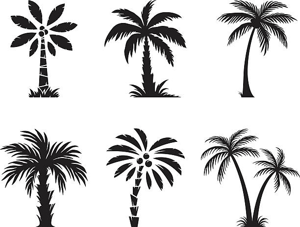 Detail Palm Tree Silhouette Vector Free Nomer 43