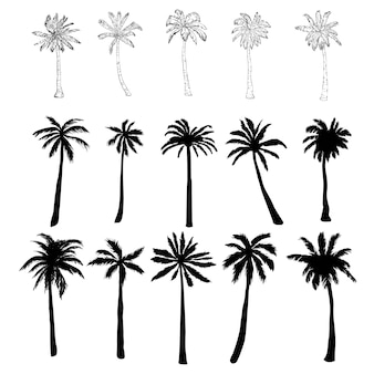 Detail Palm Tree Silhouette Vector Free Nomer 45