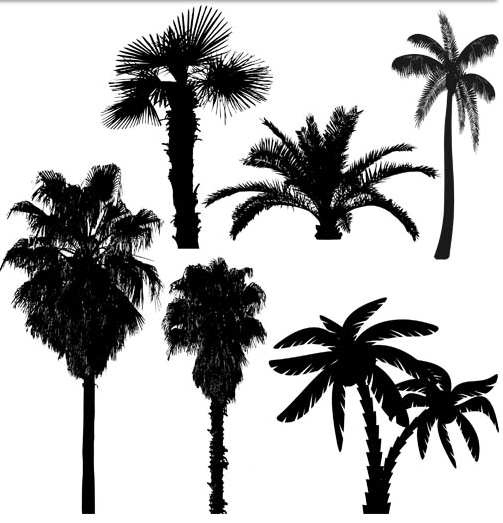 Detail Palm Tree Silhouette Vector Free Nomer 49