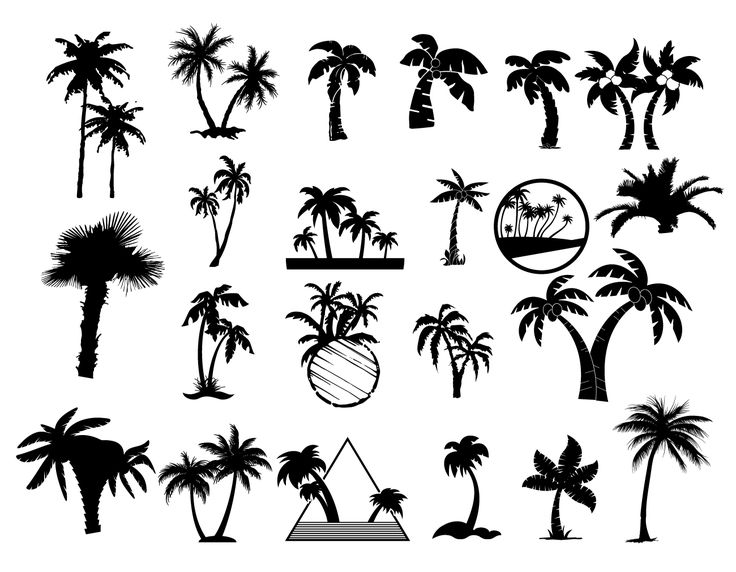 Detail Palm Tree Silhouette Vector Free Nomer 52