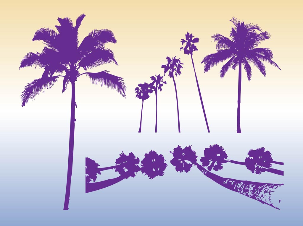 Detail Palm Tree Silhouette Vector Free Nomer 55