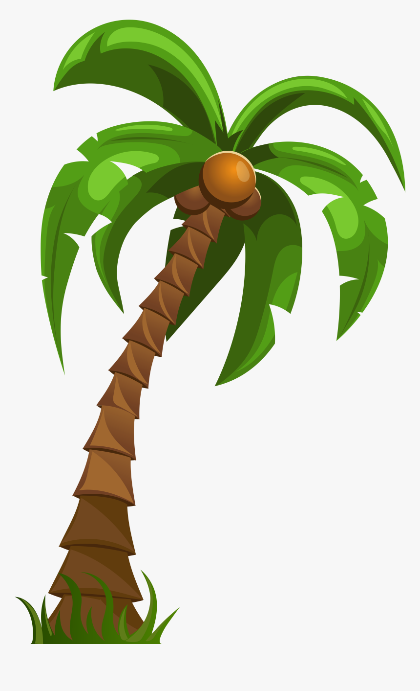 Detail Palm Tree Transparent Nomer 21