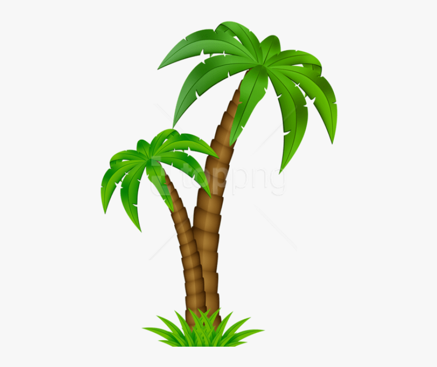 Detail Palm Tree Transparent Nomer 37