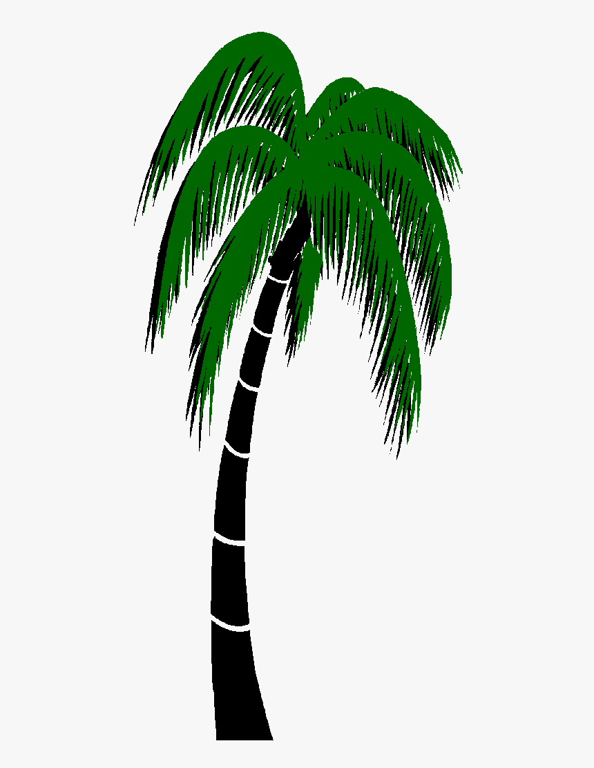 Detail Palm Tree Transparent Nomer 45