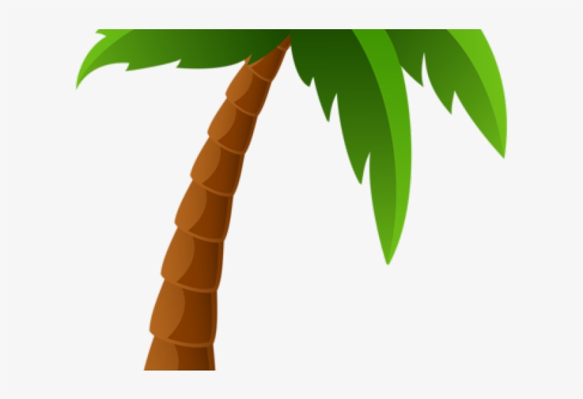 Detail Palm Tree Transparent Nomer 48