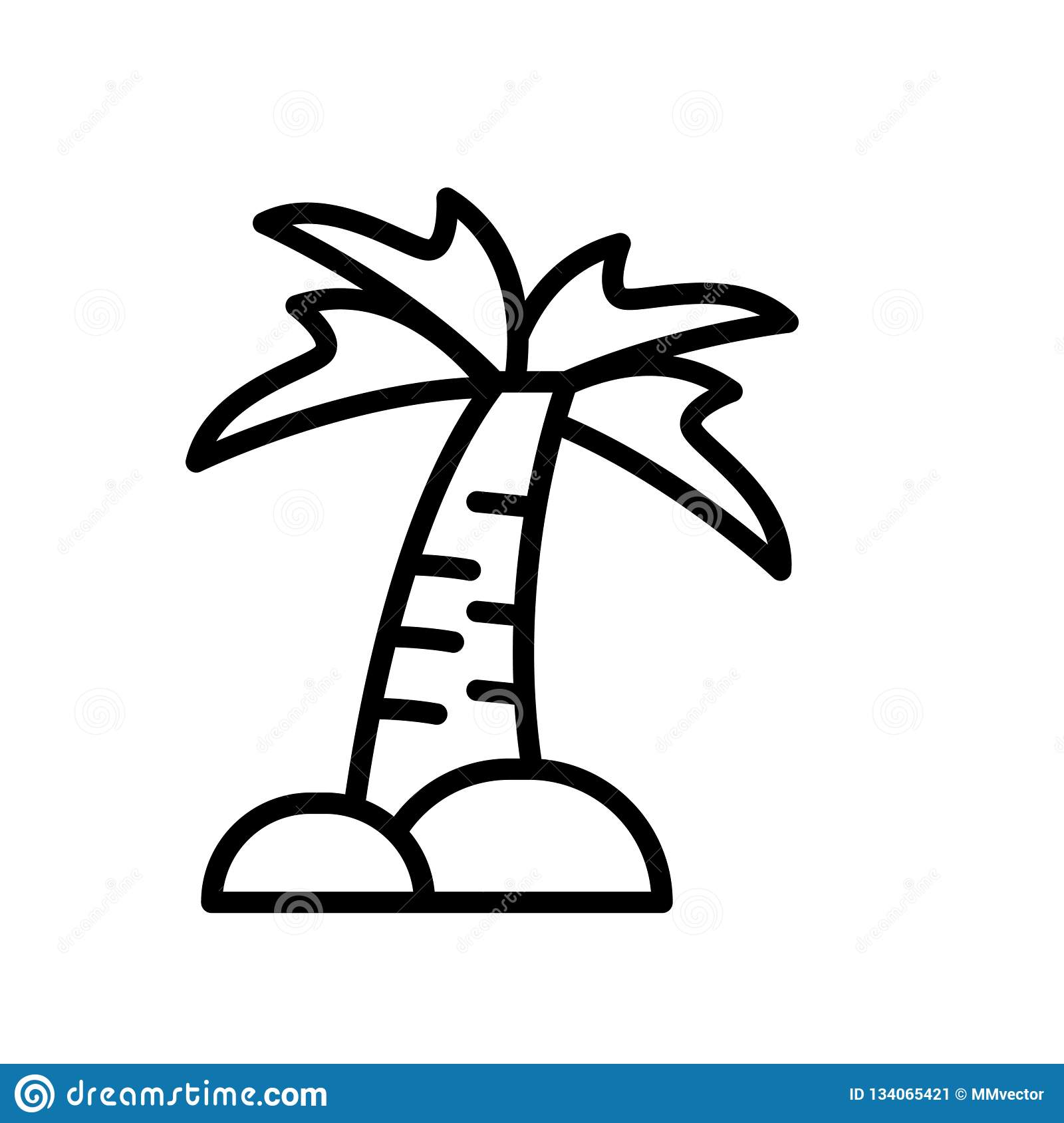 Detail Palm Tree Transparent Background Nomer 25