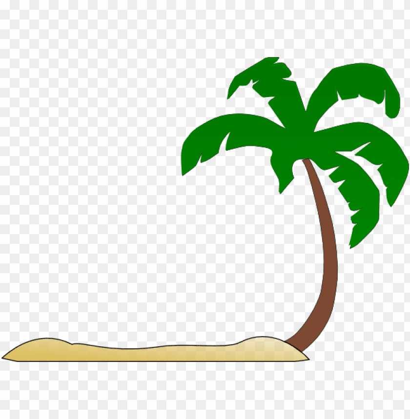 Detail Palm Tree Transparent Background Nomer 32