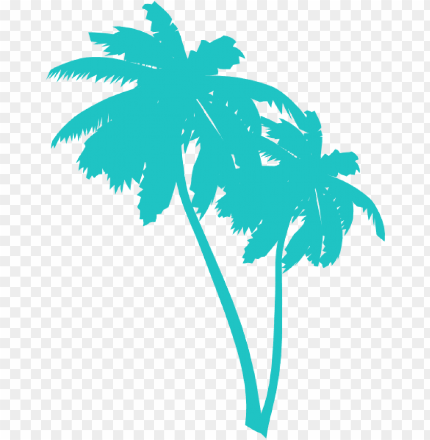 Detail Palm Tree Transparent Background Nomer 35