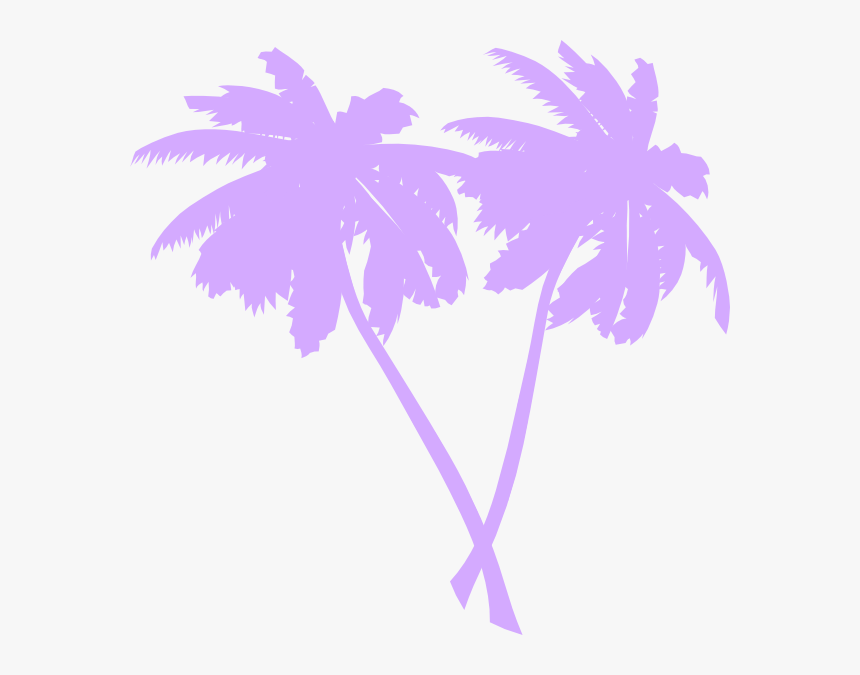 Detail Palm Tree Transparent Background Nomer 38