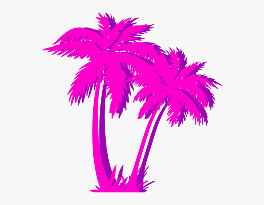 Detail Palm Tree Transparent Background Nomer 46