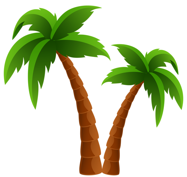 Detail Palm Tree Transparent Background Nomer 56