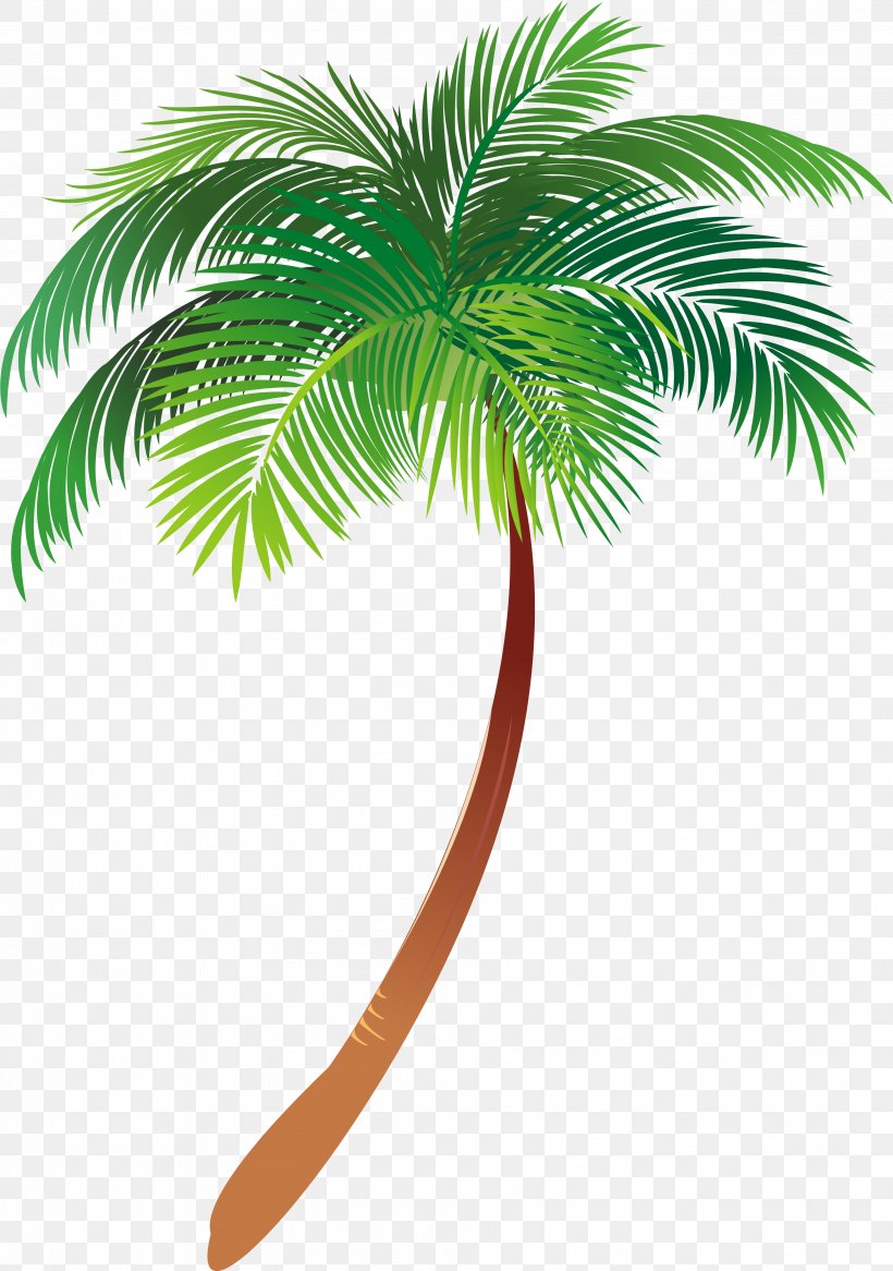 Detail Palm Tree Vector Png Nomer 18