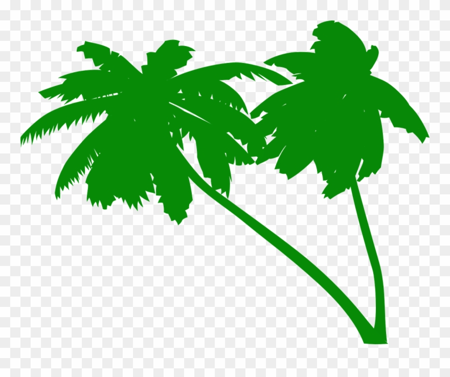 Detail Palm Tree Vector Png Nomer 41