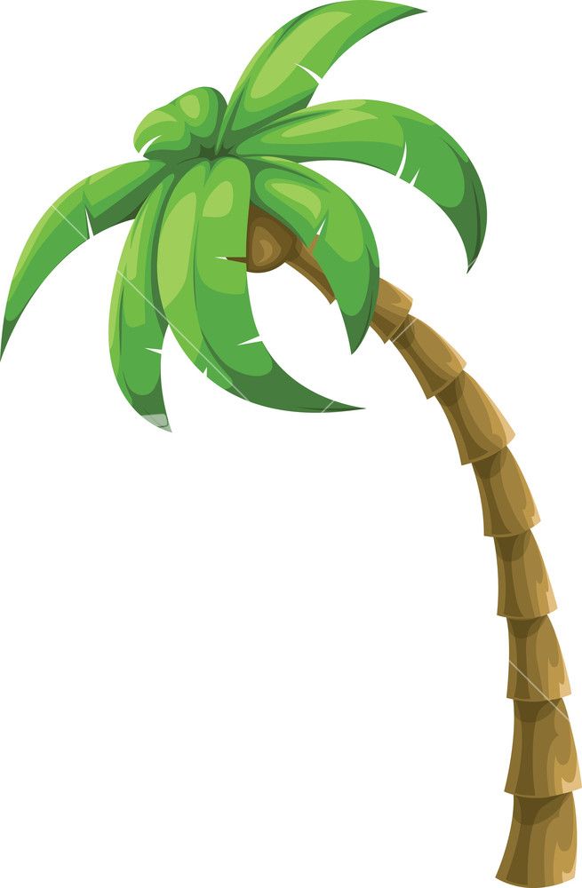 Download Palm Tree With Coconuts Clipart Nomer 32