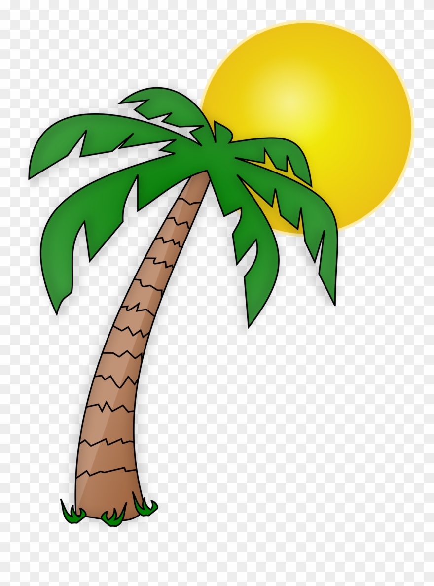 Detail Palm Tree With Transparent Background Nomer 18