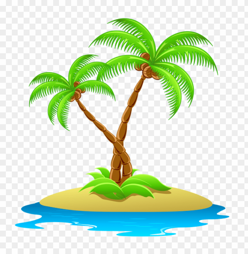 Detail Palm Tree With Transparent Background Nomer 34