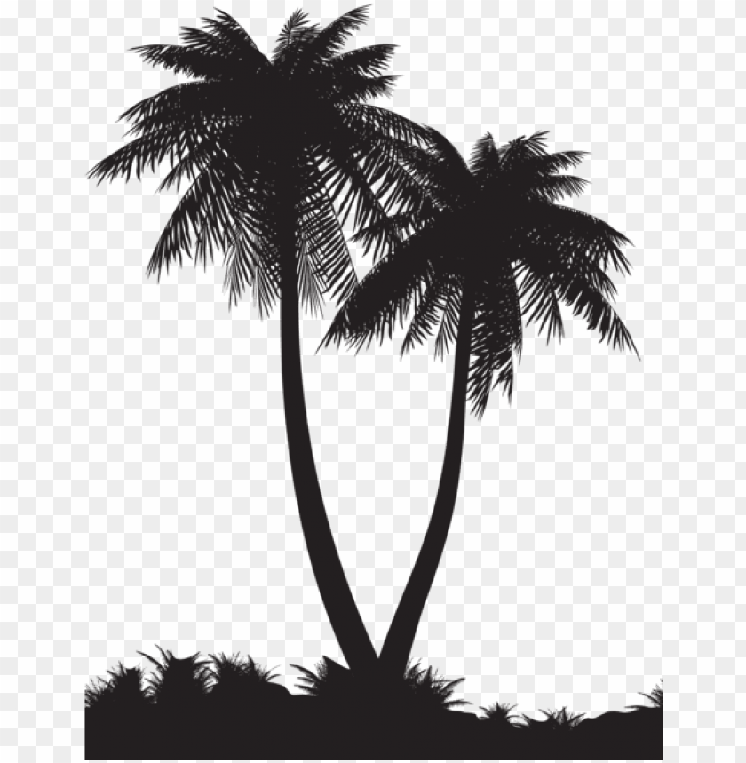 Detail Palm Tree With Transparent Background Nomer 46